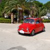 Montevago 2010 (235)